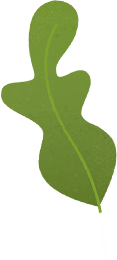 leaf1 1
