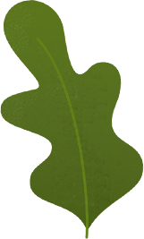 leaf2 1